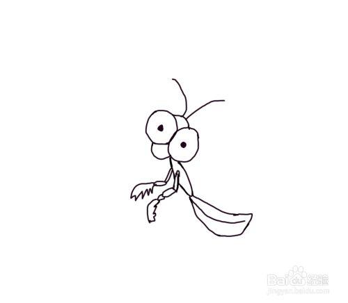 怎么画儿童彩色简笔画卡通动物螳螂?