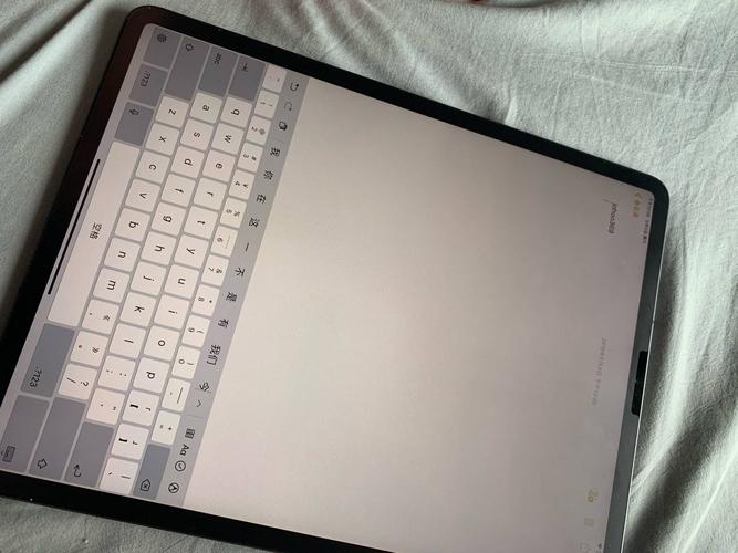 9寸 256g 4g插卡 美版