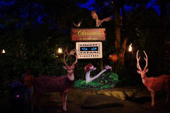 ナイトサファリ入口 - picture of night safari, singapore