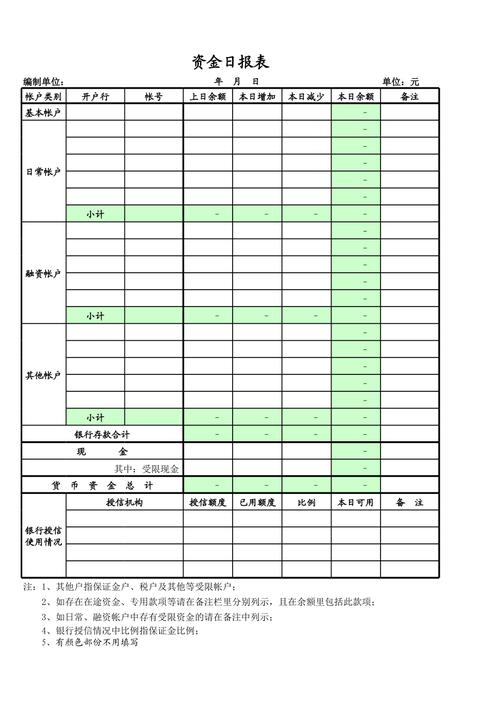 资金日报表样式