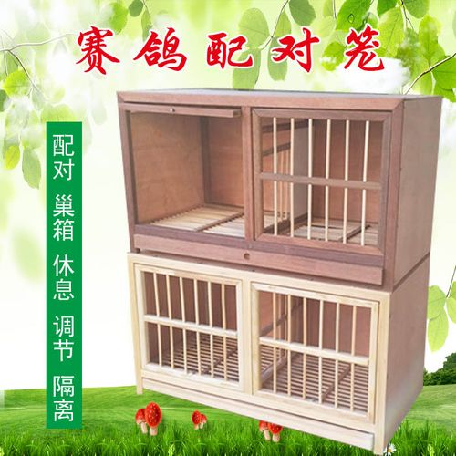 鸽子配对笼标准80配对笼