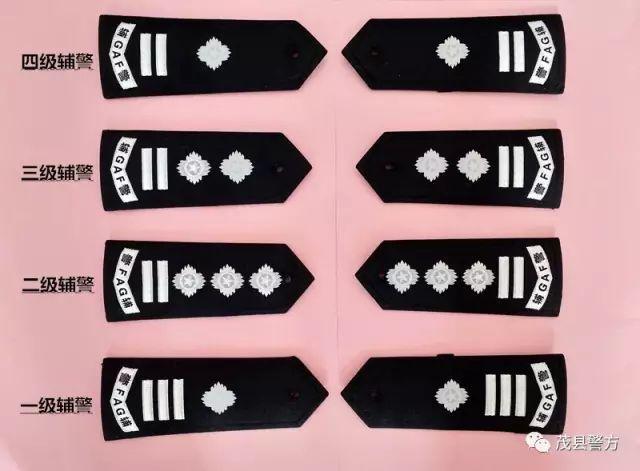 我最喜欢的辅警肩章