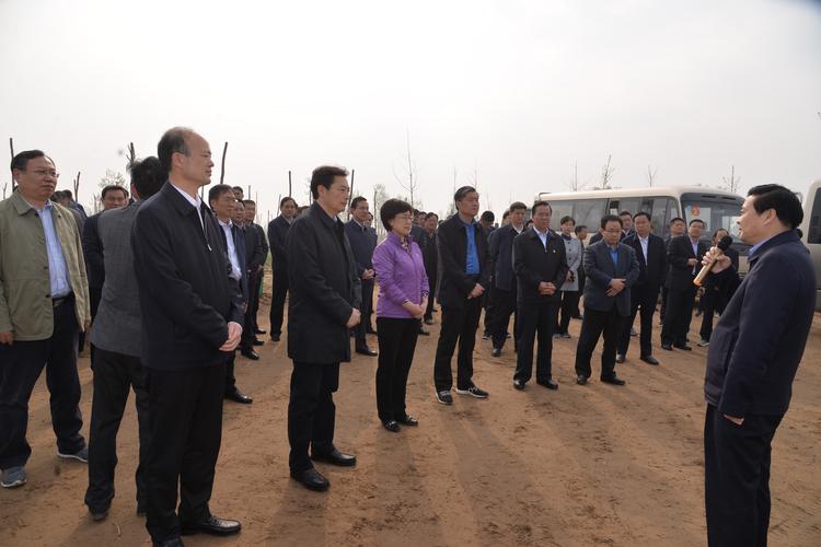 商丘市国土绿化观摩团到宁陵县观摩