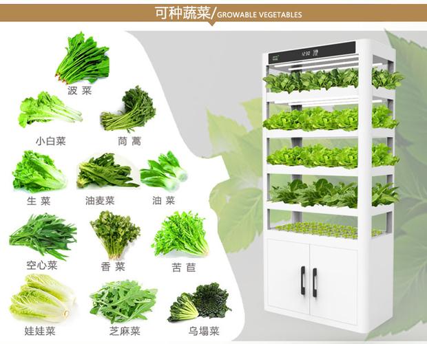 家庭园艺阳台种植私家菜园无土栽培水培智能蔬菜种植机厂家直销
