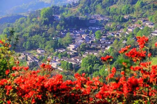 人间最美四月天,山花浪漫