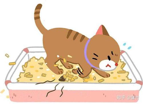 附带一条人类的需求:铲屎是否方便 在此,主要做非自动猫砂盆的探讨