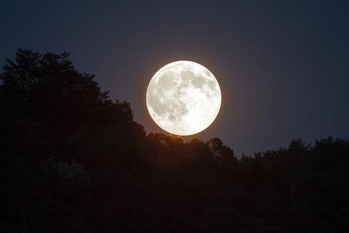 每周诗语丨蛙鸣之趣君听月明人静夜肯饶天籁与松风