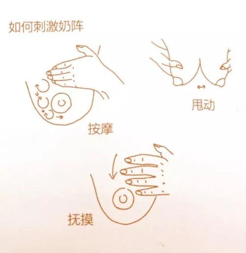 专家图解9步通乳手法很实用