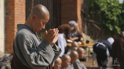 这组图震惊所有人中国女僧人的一天这样度过