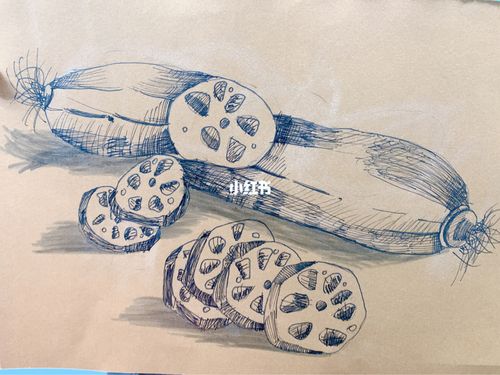 儿童创意美术线描画—莲藕_美术_莲藕_投影_圆珠笔_铅笔_儿童创意美术