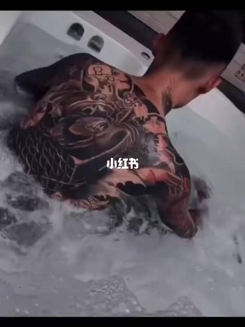 满背鲤鱼,鱼寓意招财,吉祥._鲤鱼_宠物_宠物其他