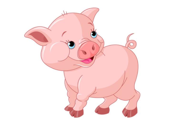 最傻的四个属相,属相鸡最后,属相猪却意想不到