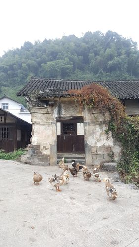 湖南省娄底市冷水江市禾青镇k44县道天气预报