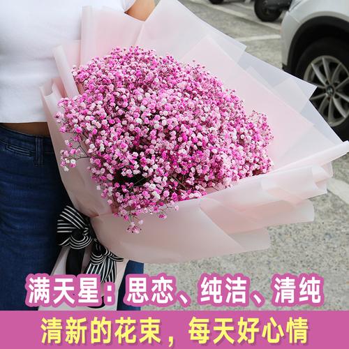 彩色满天星超大花束厦门鲜花速递同城福州莆田泉州福建生日送花店