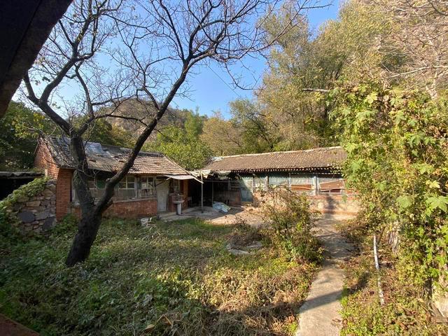 北京延庆农村院子年租1.5万,冬天不只适合囤白菜更适合囤院子