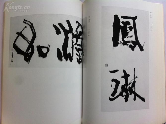 青山杉雨展【1995年日本青山杉雨展実行委员会编集发行
