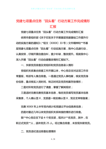 党建七项重点任务"回头看"行动方案模板工作完成情形汇报.doc 4页