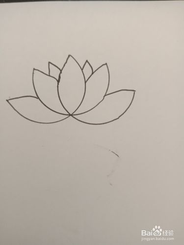 (如下图) 5 在中间的三个花瓣添两个小花瓣,荷花就画好了.