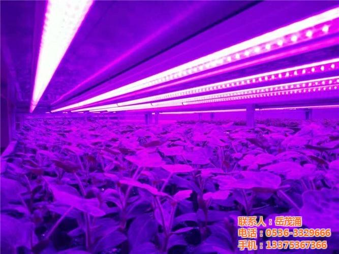 植物生长灯led_贵翔光电_植物生长灯