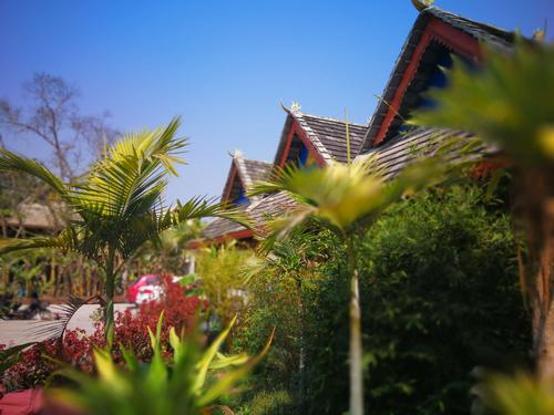 因西双版纳在那里,所以随心而动,随身而行,赴热带雨林