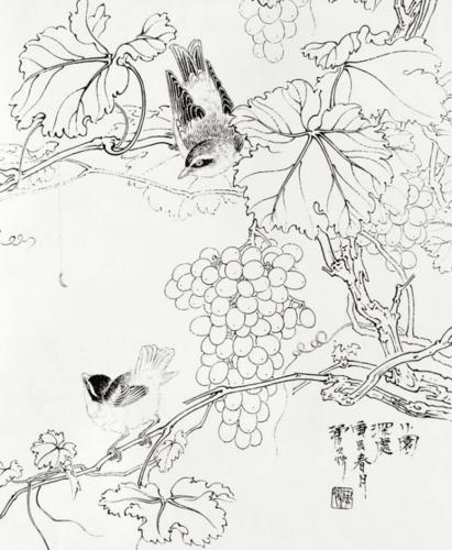 中国工笔花鸟画简笔画