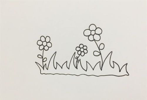小花小草怎么画