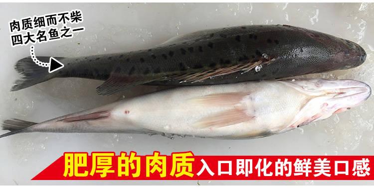 鲜活鲈鱼 深海鱼 新鲜水产海鲜七星海鲈鱼 [3斤]家庭装