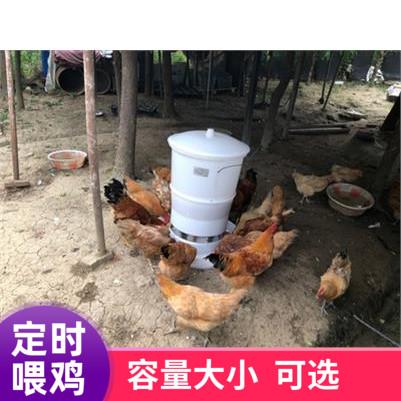 养鸡全自动定时喂鸡投料机神器喂食器鸭鹅器养殖畜牧