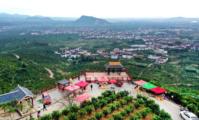 新华社记者 陶明 摄金秋时节,陕西省汉中市城固县23万亩柑桔喜获丰收.