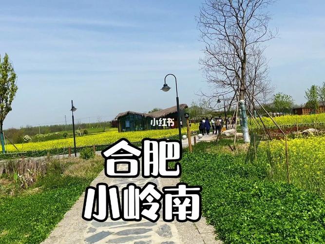 合肥小岭南藏匿于蜀山区的世外桃源