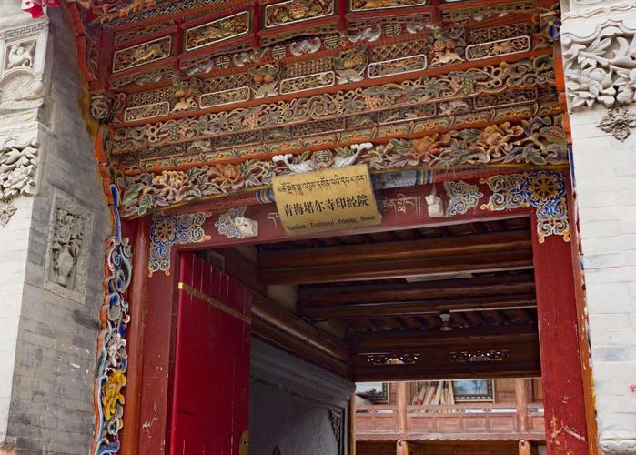 西北游第八天,赏门源油菜花,祁连大草原,游塔尔寺