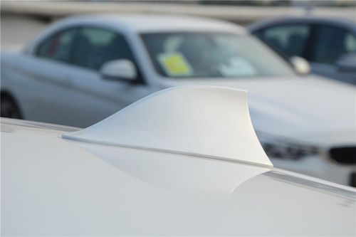 528li xdrive 领先型