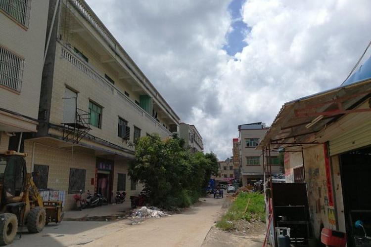 【第二次拍卖】惠州市惠东县大岭镇大岭村牛牯村住宅区h栋3-12号房产