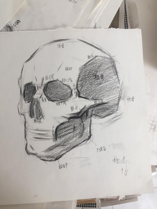 素描头像基础训练