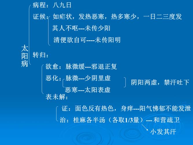 伤寒论课件:太阳病本证-表郁轻证