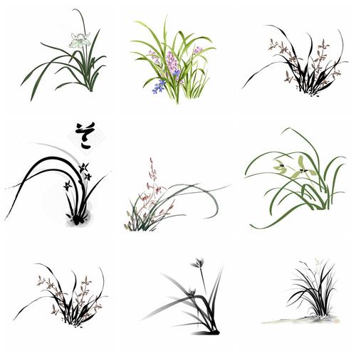 173款水彩兰花png免抠图