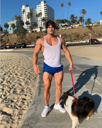 jeff seid用完美的腹肌圈粉超过390万人!ifbb 职业卡最年轻的人