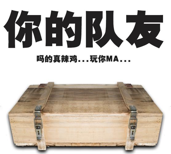 绝地求生盒子精板条箱子队友棺材1:1吃鸡cosplay道具