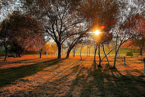 晨光|摄影|其他摄影|hao9698 - 原创作品 - 站酷