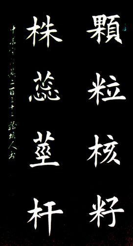 龙坑人楷书《中华字经》117:秕稗蓑稞,秫秸稼秆.颗粒核籽,株蕊茎杆.