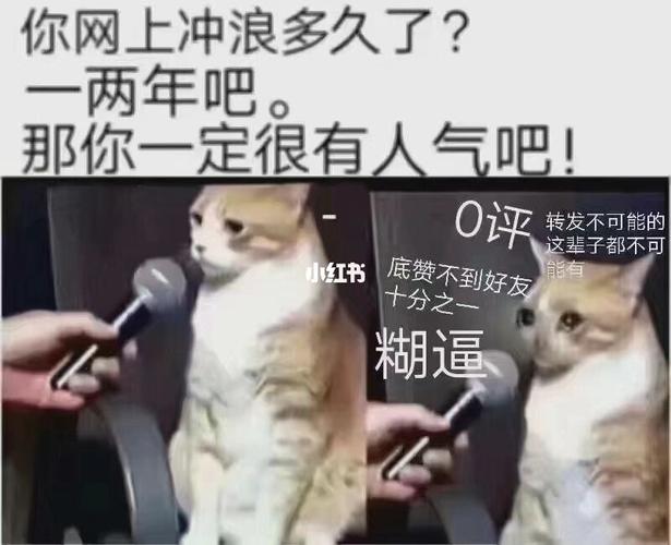 人间真实之搞笑沙雕合集98不笑算我输7515_搞笑