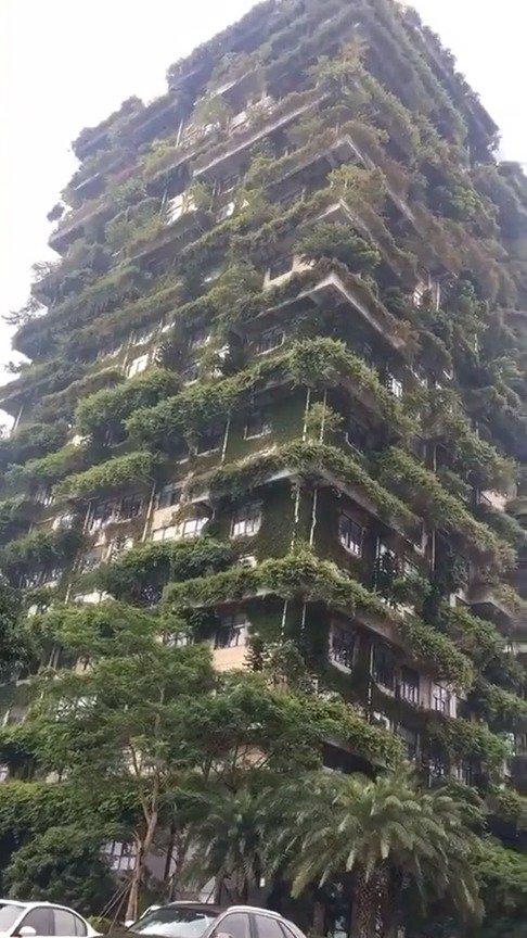 顺德碧桂园总部,真是美的没谁了