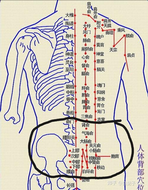 无论腰痛,痛经,外敷电加热艾灸宝的位置如下