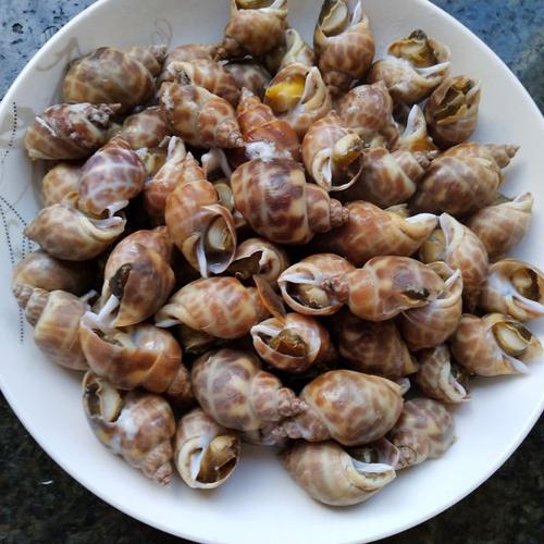 原料:黄螺,生姜,料酒,生抽,香醋. 做法步骤