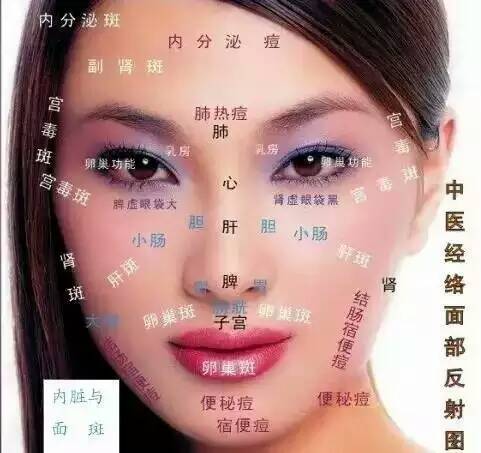 谁有脸部长痘原因分布图要高清的