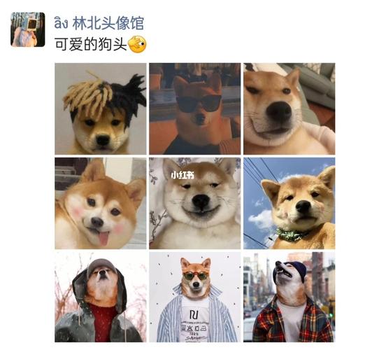 可爱的狗头_头像_素材_头像