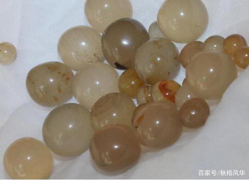 舍利子只有高僧才能有?圣严法师与南怀瑾先生各有说法