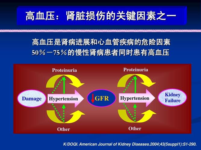 最新肾性高血压治疗的专家共识ppt