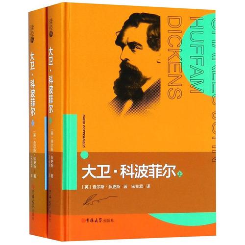 大卫科波菲尔上下精
