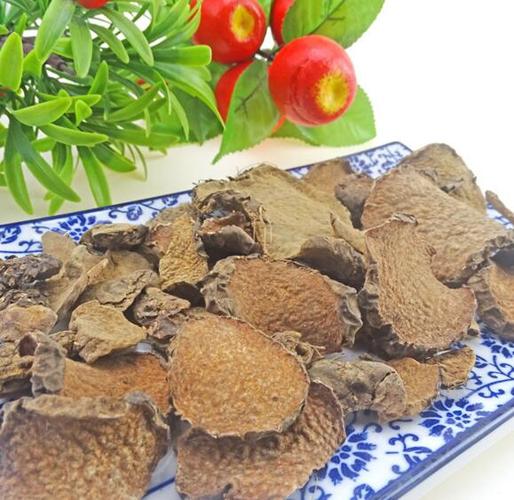 中药狗脊的功效与作用与禁忌介绍其功效作用和禁忌